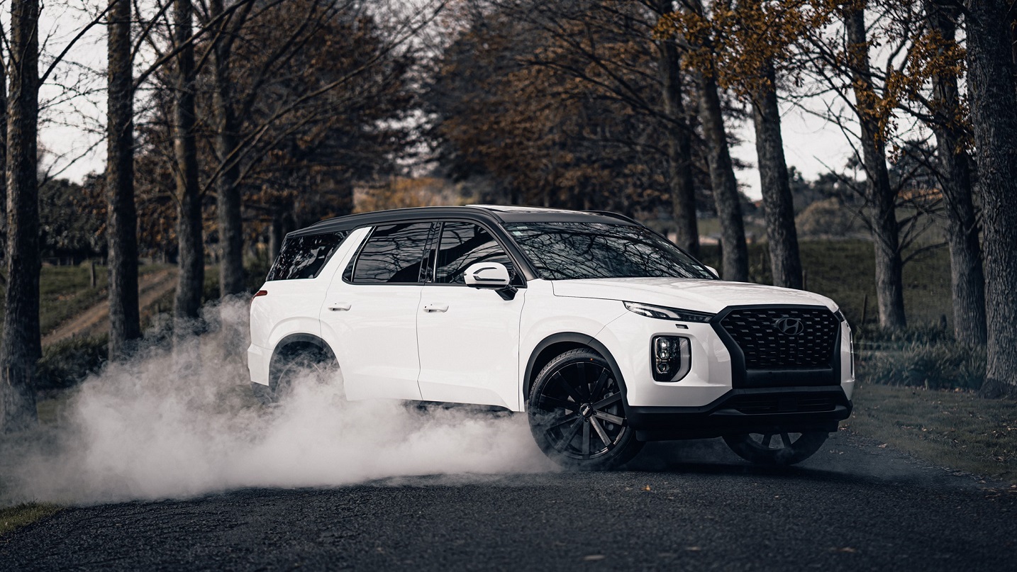 Hyundai Palisade on BGW VM12