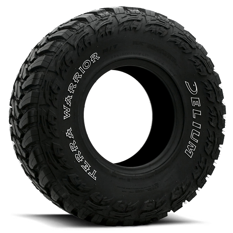 Delium Terra Warrior 1