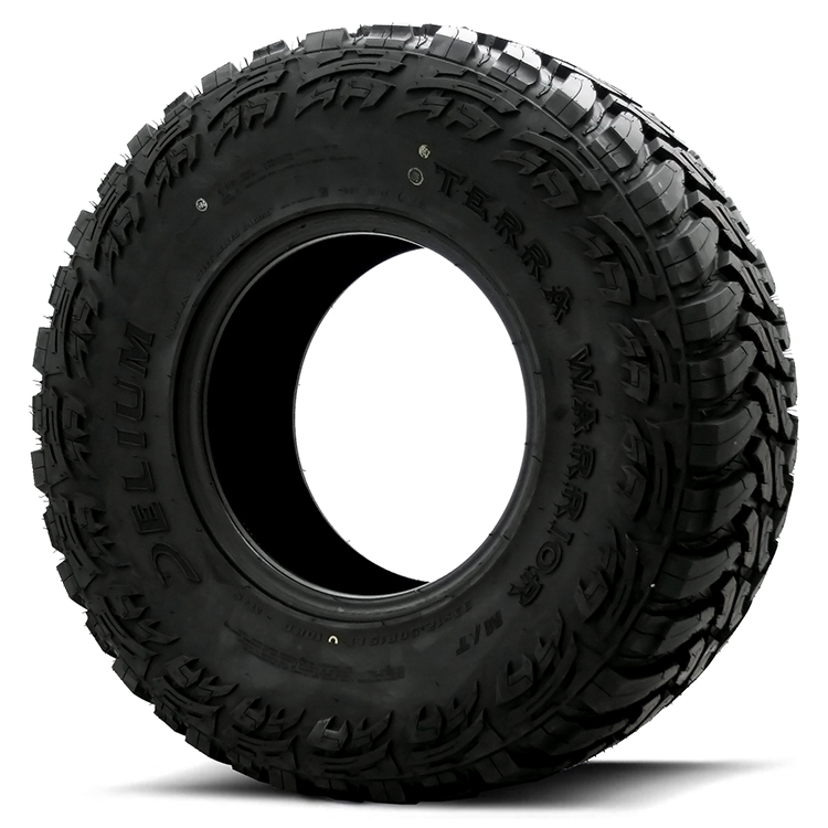 Delium Terra Warrior 7